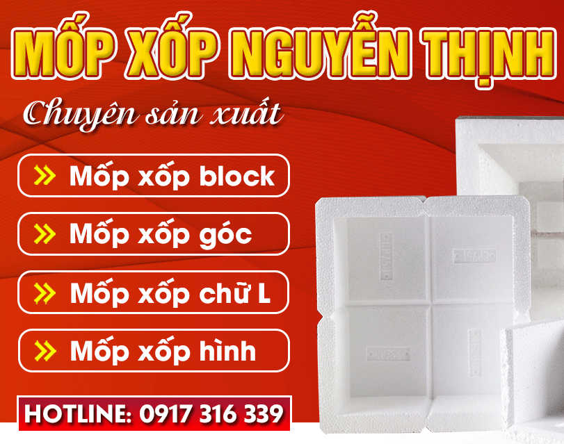 CÔNG TY TNHH MỐP XỐP NGUYỄN THỊNH