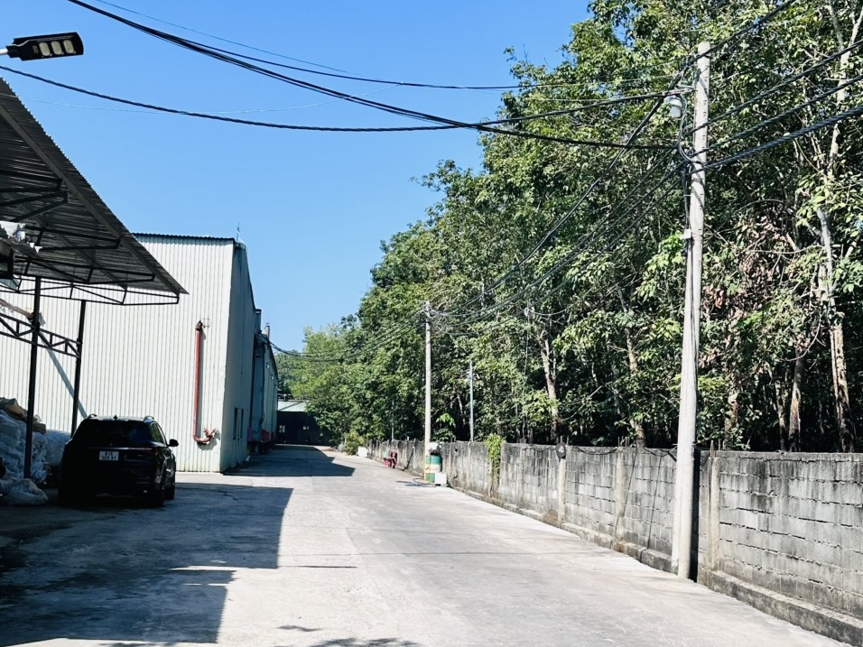 CÔNG TY TNHH MỐP XỐP NGUYỄN THỊNH